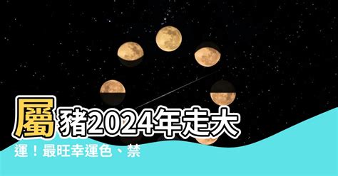 1971豬幸運色2023|2024屬豬幾歲、2024屬豬運勢、屬豬幸運色、財位、禁忌